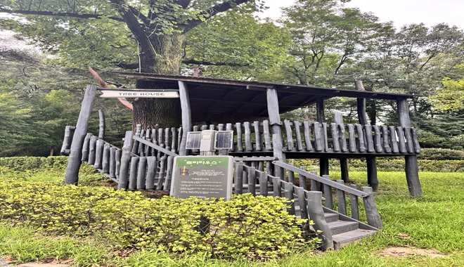 트리하우스