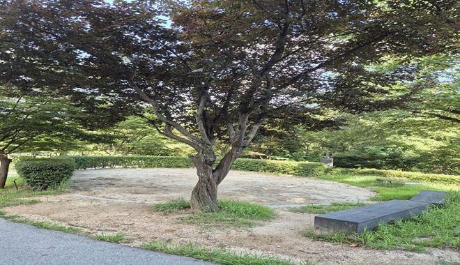 모레놀이터